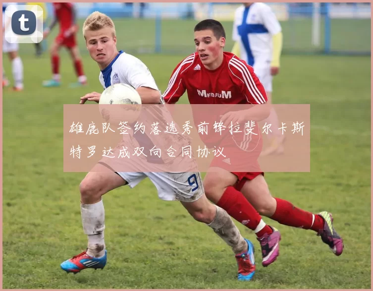 雄鹿队签约落选秀前锋拉斐尔卡斯特罗达成双向合同协议