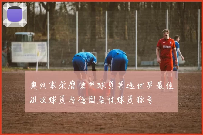 奥利塞荣膺德甲球员票选世界最佳进攻球员与德国最佳球员称号